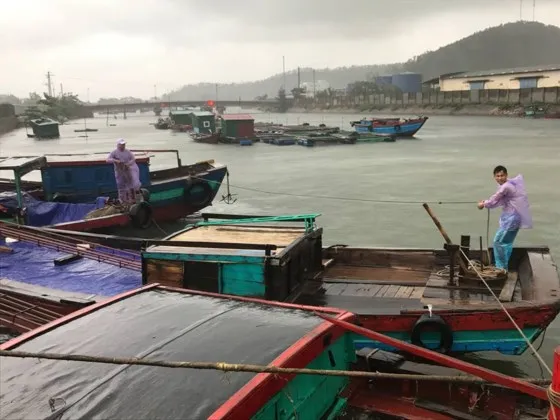Hàng ngàn tàu thuyền, hàng chục ngàn lao động trên biển có kịp vào bờ “chạy” bão?