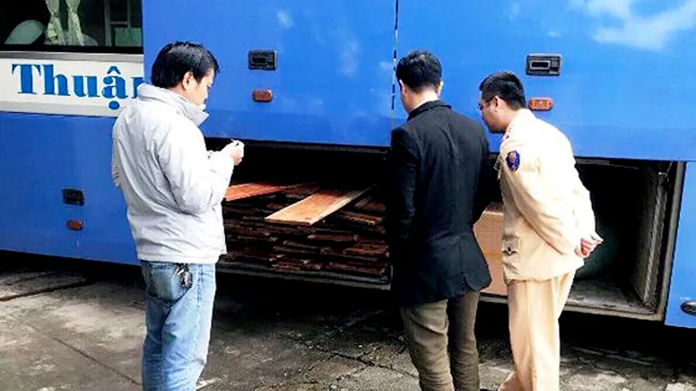 Tổ công tác Trạm CSGT Phú Lộc phát hiện 1,5m³ gỗ sơn huyết do xe khách 81B-004.76 vận chuyển trái phép