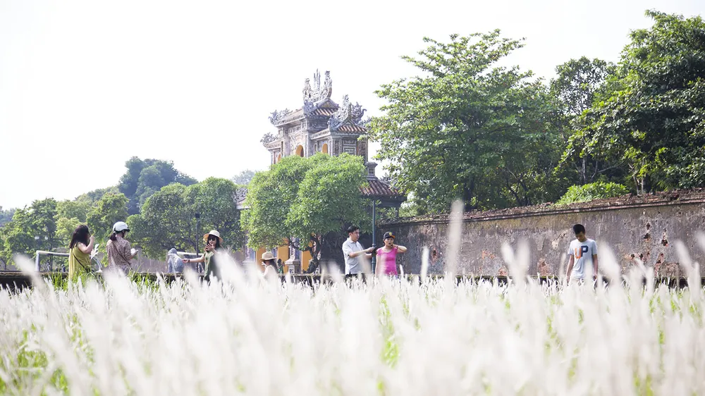 Tung tăng chụp ảnh cùng hoa cỏ tranh
