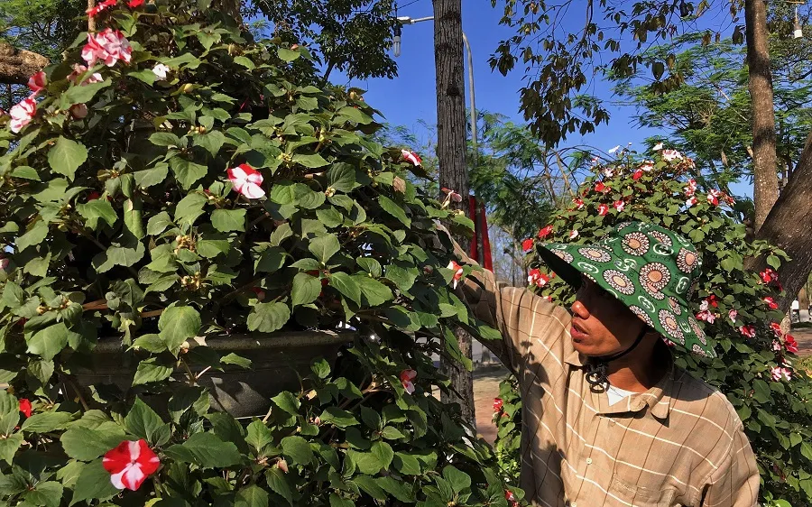Anh Bảy chăm chút cho hoa chờ khách tới mua ​