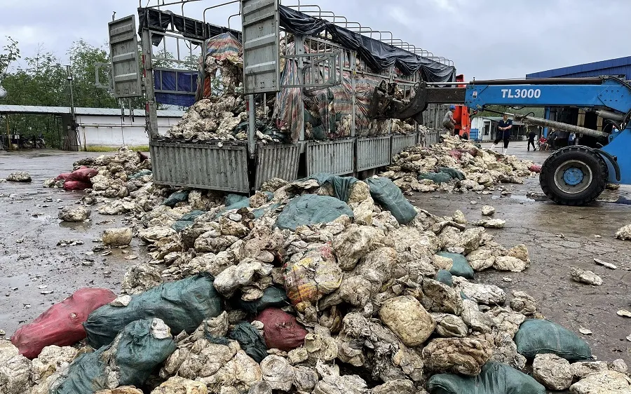 Bãi chất thải rắn trái phép phát hiện trong khuôn viên Công ty TNHH Một thành viên cao su Huy Anh ​