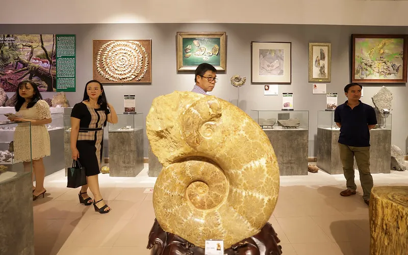 Du khách tham quan triển lãm “Hóa thạch - Hành trình khám phá nguồn gốc sự sống trên Trái Đất”. ​