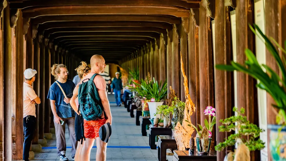Khai mạc Triển lãm cây kiểng và phong lan ba miền tại khu vực Hoàng cung - Đại Nội Huế