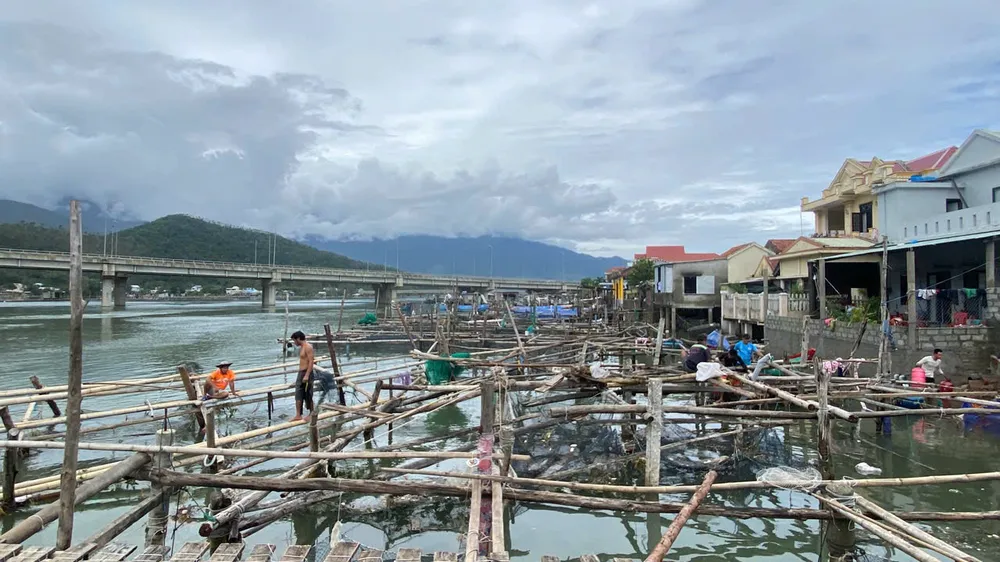 Tan hoang khu vực nuôi cá lồng ở vịnh Lăng Cô