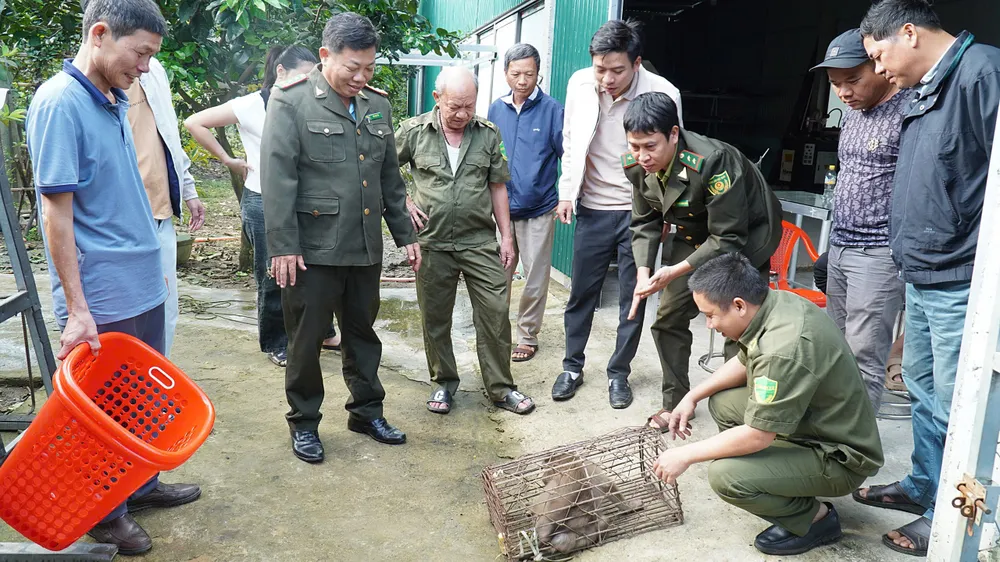 Bàn giao cá thể khỉ đực nặng 5kg cho cơ quan kiểm lâm để có giải pháp xử lý