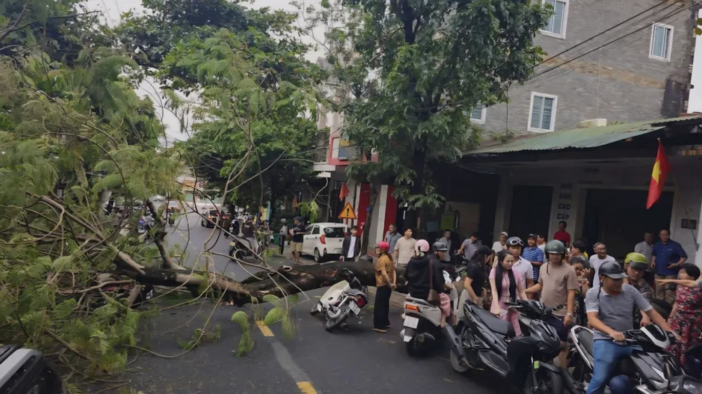 Người tham gia giao thông thót tim khi chứng kiến vụ việc