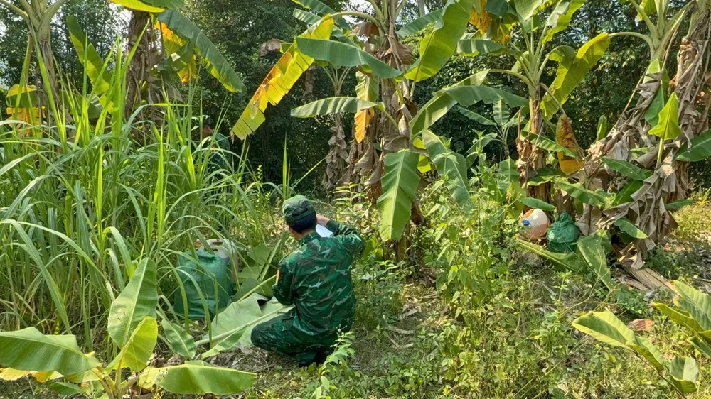 Đồn Biên phòng cửa khẩu quốc tế Lao Bảo phát hiện và thu giữ 70 can chất lỏng màu vàng, nghi xăng RON 95 tại khu vực vườn chuối ở biên giới Việt Nam - Lào