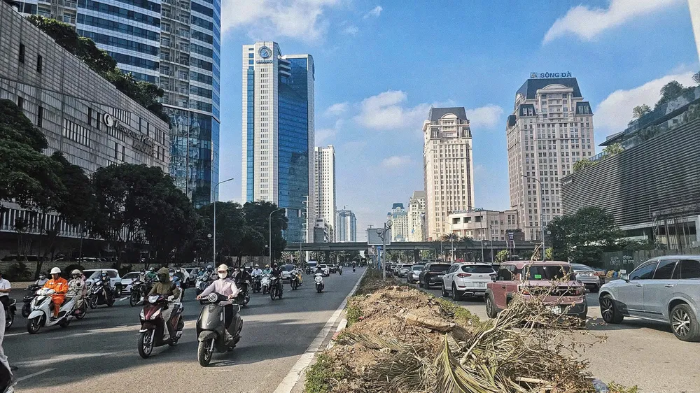 Nhiều cây xanh trên đường Dương Đình Nghệ, đoạn trước tòa nhà Keangnam Landmark 72, được di dời để phục vụ dự án. Ảnh: TIẾN CƯỜNG