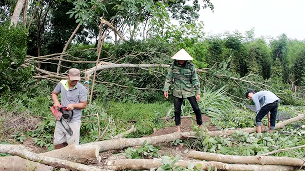 Lốc xoáy kèm mưa lớn ở Bình Phước gây thiệt hại hàng tỷ đồng