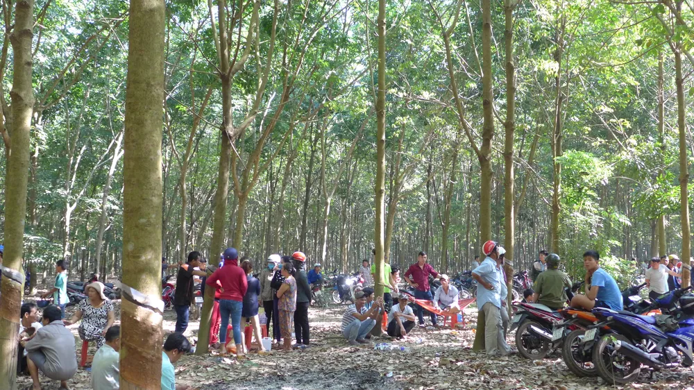 Bắt thêm 3 đối tượng chích điện, cắt tai con nợ