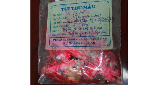  Cá kho để qua đêm chuyển màu đỏ hồng, vì sao?