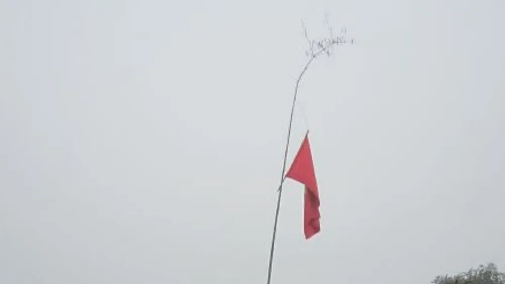 Cây nêu ngày tết (Ảnh minh hoa họa)