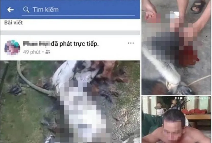 Hình ảnh giết cá thể voọc rồi đăng lên Facebook gây phẫn nộ