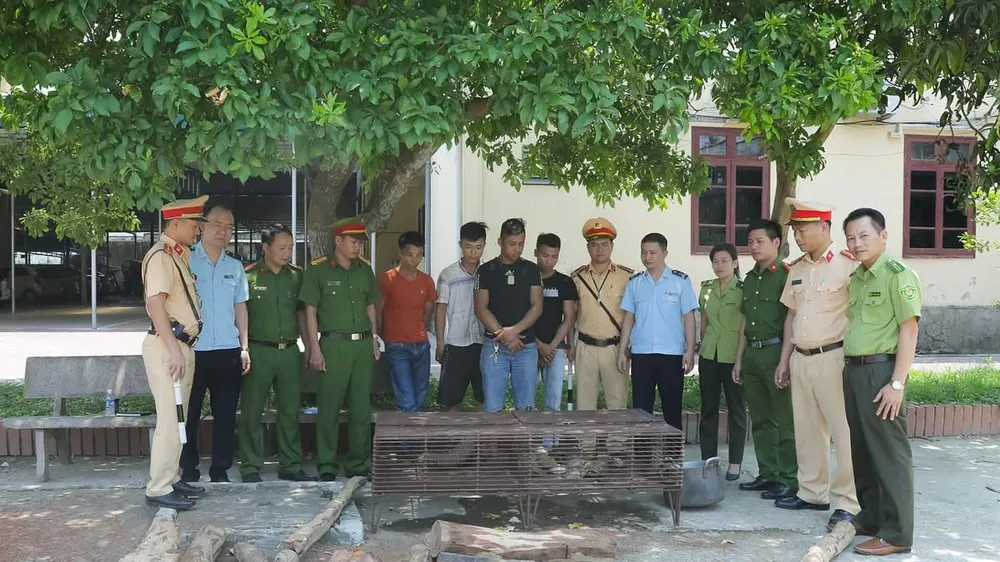Số gỗ và động vật hoang dã bị bắt giữ