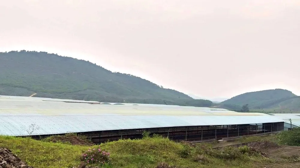 Một góc chuồng trại bỏ không tại Dự án chăn nuôi bò Bình Hà ở Hà Tĩnh