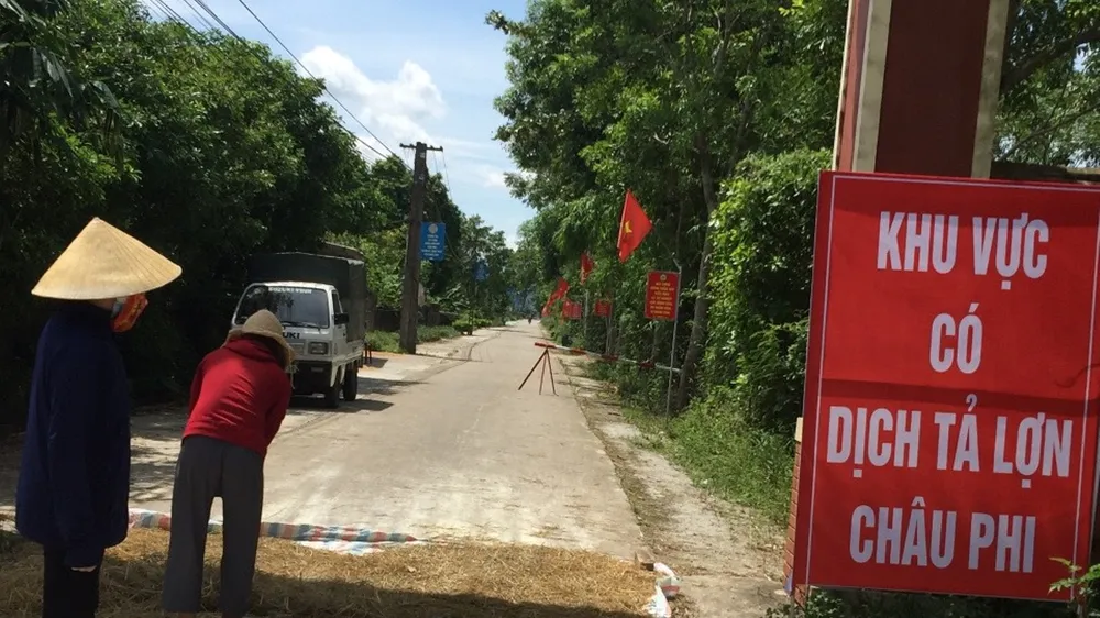 Lập biển báo khu vực có dịch tả heo châu Phi ở huyện Nghi Xuân, tỉnh Hà Tĩnh
