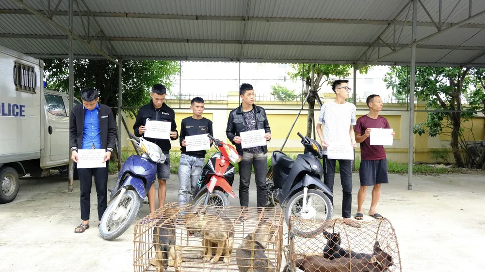 Bắt giữ băng nhóm gây ra hàng loạt vụ trộm chó ở Hà Tình