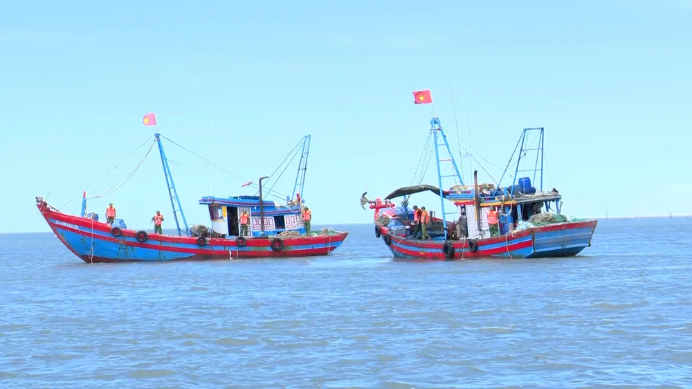 Cặp tàu cá NA 90746 TS và NA 90494 TS, khai thác hải sản sai quy định bị phát hiện, bắt giữ 