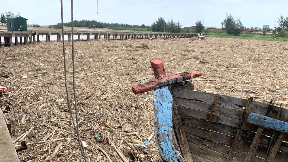 Rác "bủa vây" Cảng cá Xuân Hội 