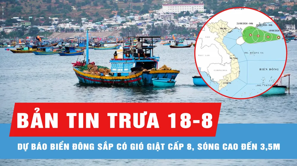 Bản tin trưa 18-8: Dự báo Biển Đông sắp có gió giật cấp 8, sóng cao đến 3,5m
