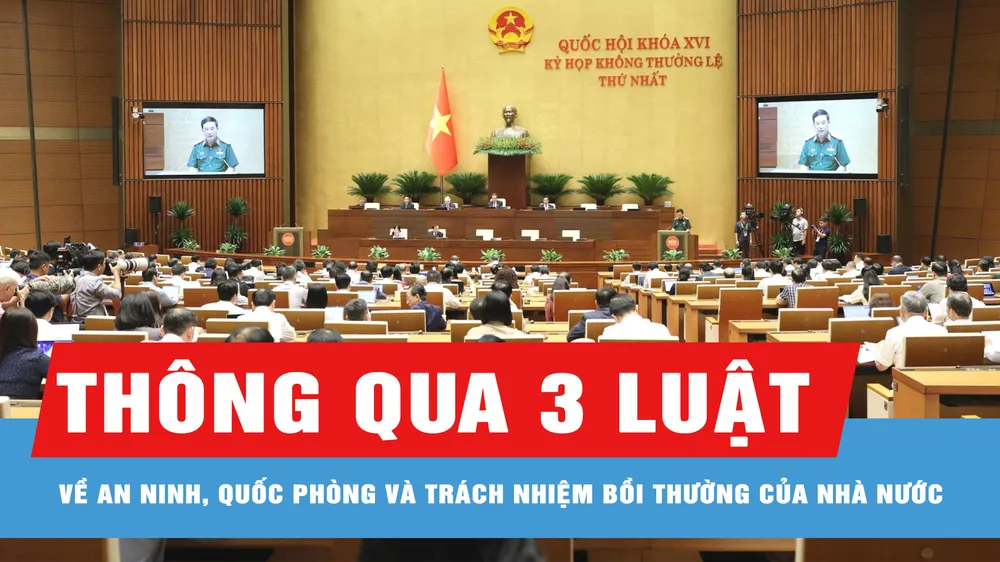 Quốc hội thông qua 3 luật về an ninh, quốc phòng và trách nhiệm bồi thường của Nhà nước