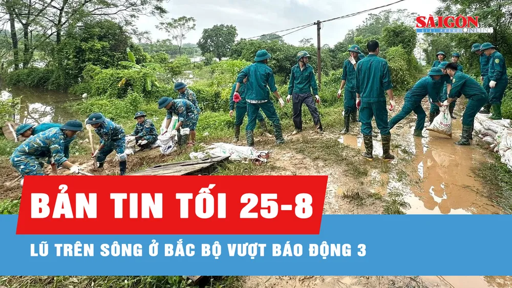 Bản tin tối 25-8: Mực nước đầu nguồn sông Cửu Long tiếp tục lên nhanh