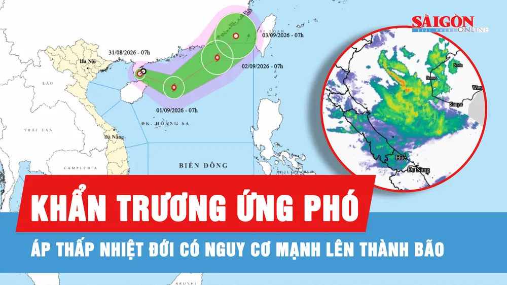 Khẩn trương ứng phó áp thấp nhiệt đới có nguy cơ mạnh lên thành bão