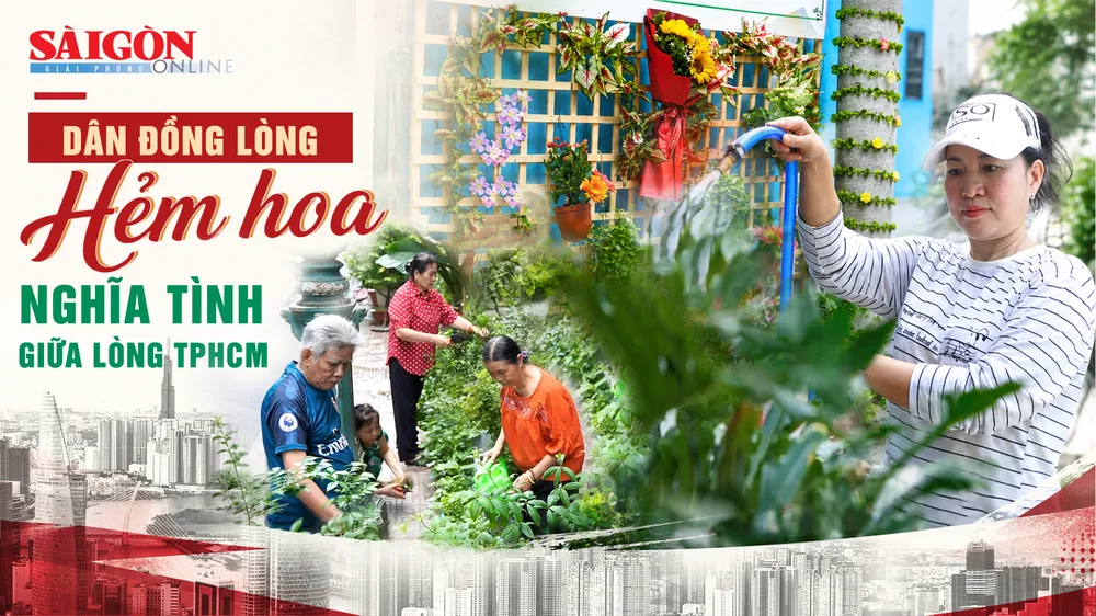 TPHCM: Nhiều hẻm hoa xanh mát nhờ người dân đồng lòng
