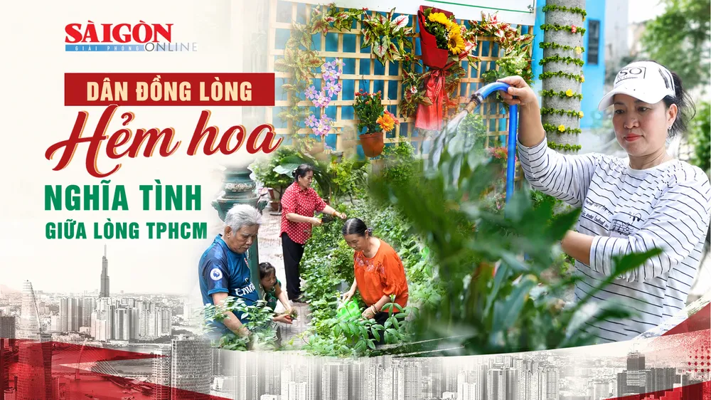 TPHCM: Nhiều hẻm hoa xanh mát nhờ người dân đồng lòng