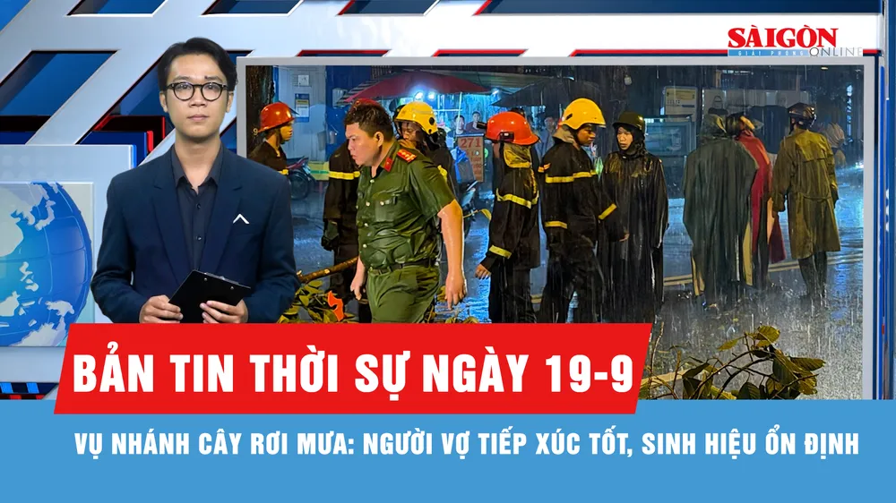 Bản tin thời sự ngày 19-9: Cập nhật vụ cây gãy đổ trong cơn mưa tại TPHCM