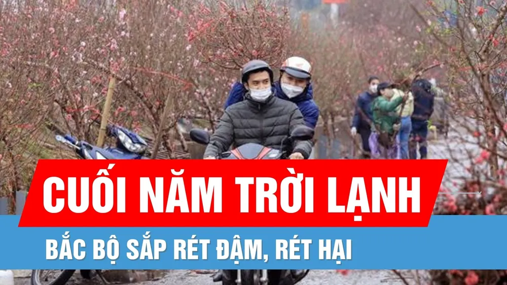 Thời tiết ngày 24-1: Không khí lạnh mạnh, Bắc Bộ sắp chuyển rét đậm, rét hại