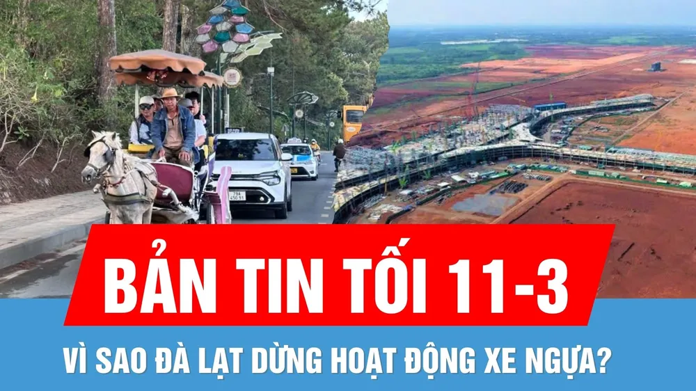 Bản tin tối 11-3: Điều chỉnh quy mô, tiến độ dự án xây sân bay Long Thành | Vì sao Đà Lạt dừng hoạt động xe ngựa?
