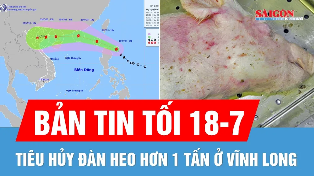 Bản tin tối 18-7: Điểm tương đồng giữa bão Wipha và bão Yagi; Tiêu hủy đàn heo hơn 1 tấn ở Vĩnh Long