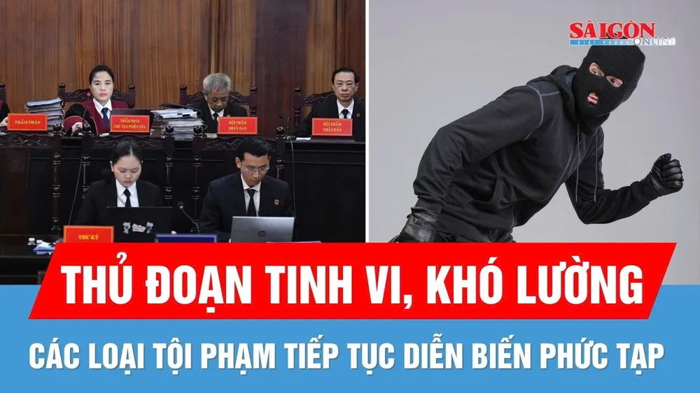 Các loại tội phạm tiếp tục diễn biến phức tạp, thủ đoạn khó lường