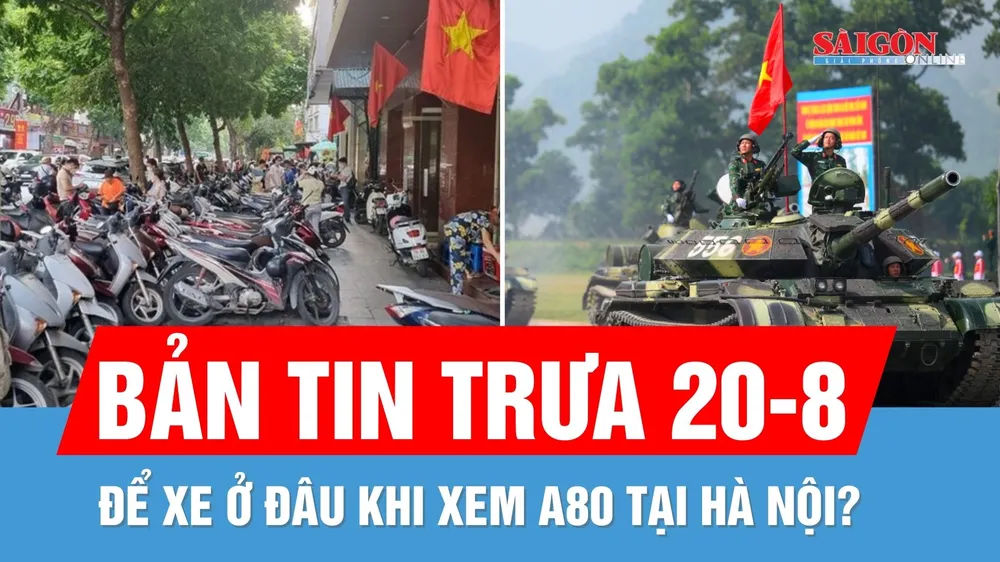 Bản tin trưa 20-8: Các điểm giữ xe xem diễu binh, diễu hành tại Hà Nội | 9 con cá nhà táng "nô đùa" quanh tàu cá