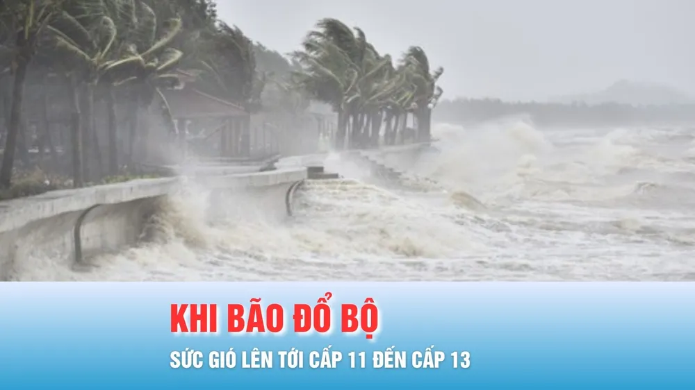 Podcast bản tin tối 6-11: Khi bão số 13 (Kalmaegi) đổ bộ, sức gió vẫn lên tới cấp 11 đến cấp 13