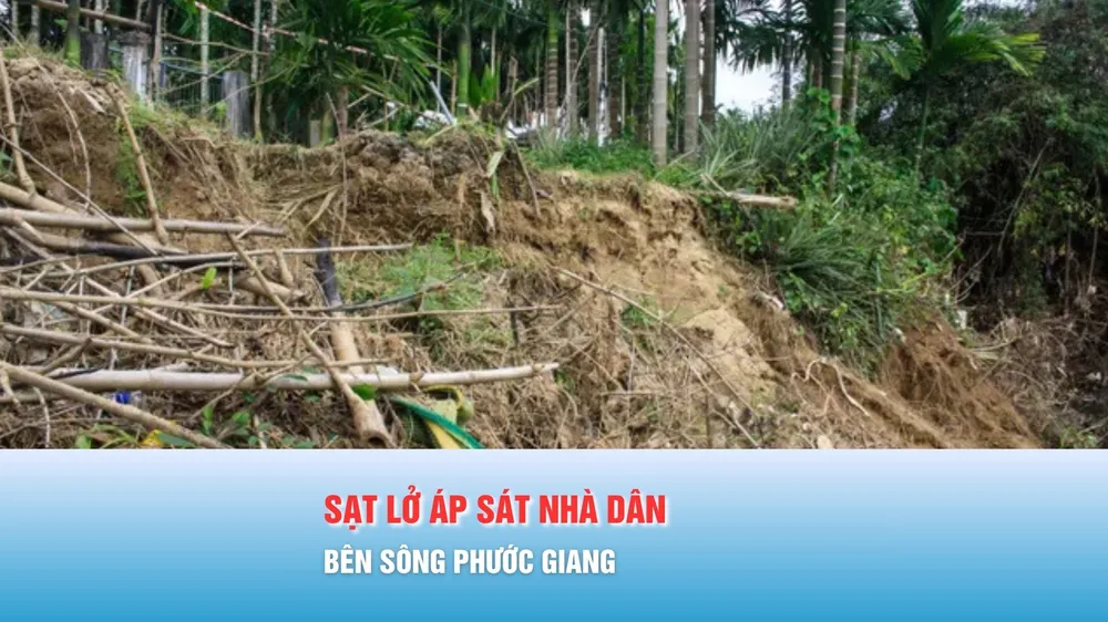 Podcast bản tin 17 giờ 3-12: Sạt lở áp sát nhà dân bên sông Phước Giang
