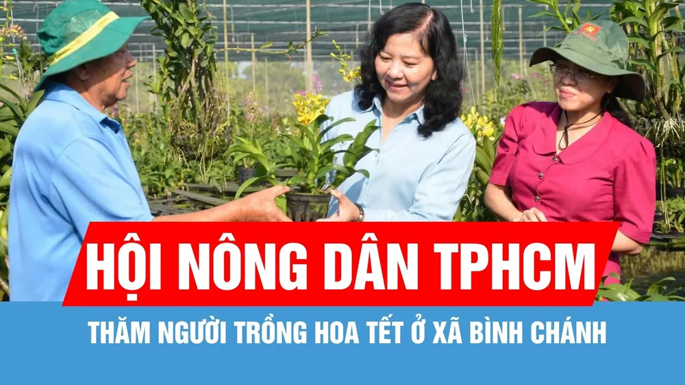 Lãnh đạo Hội Nông dân TPHCM thăm, động viên người trồng hoa tết xã Bình Chánh