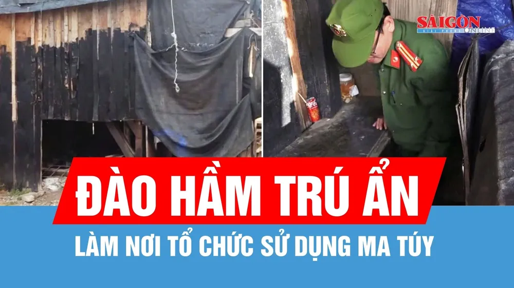 Chiếm 1.000m² đất để xây nhà chòi, đào hầm làm nơi sử dụng ma túy