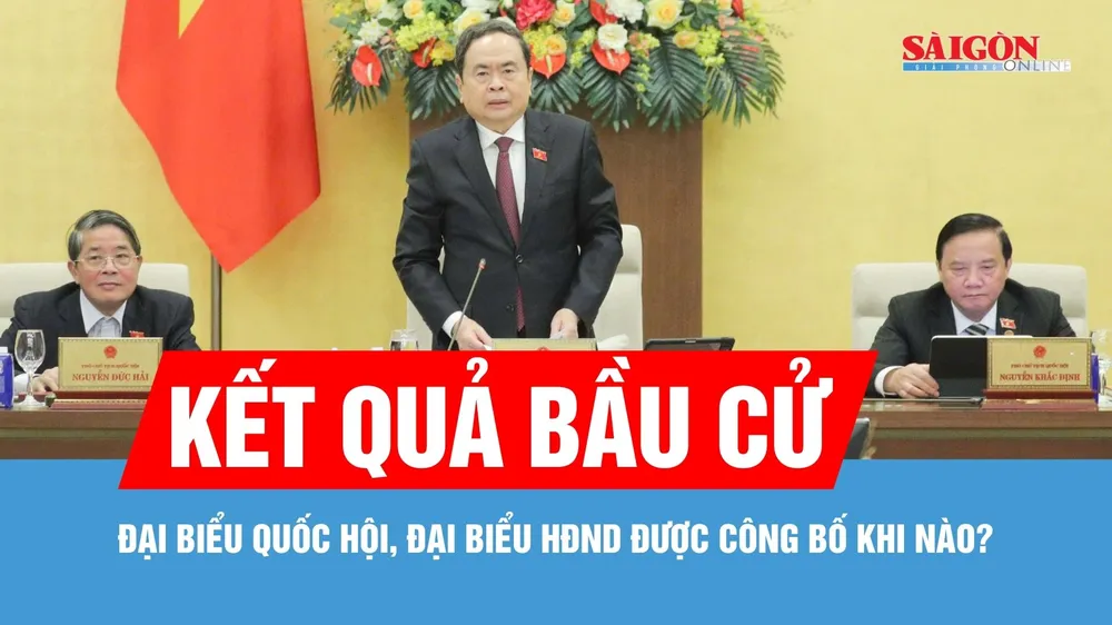 Kết quả bầu cử đại biểu Quốc hội, đại biểu HĐND được công bố sớm nhất vào ngày 22-3-2026