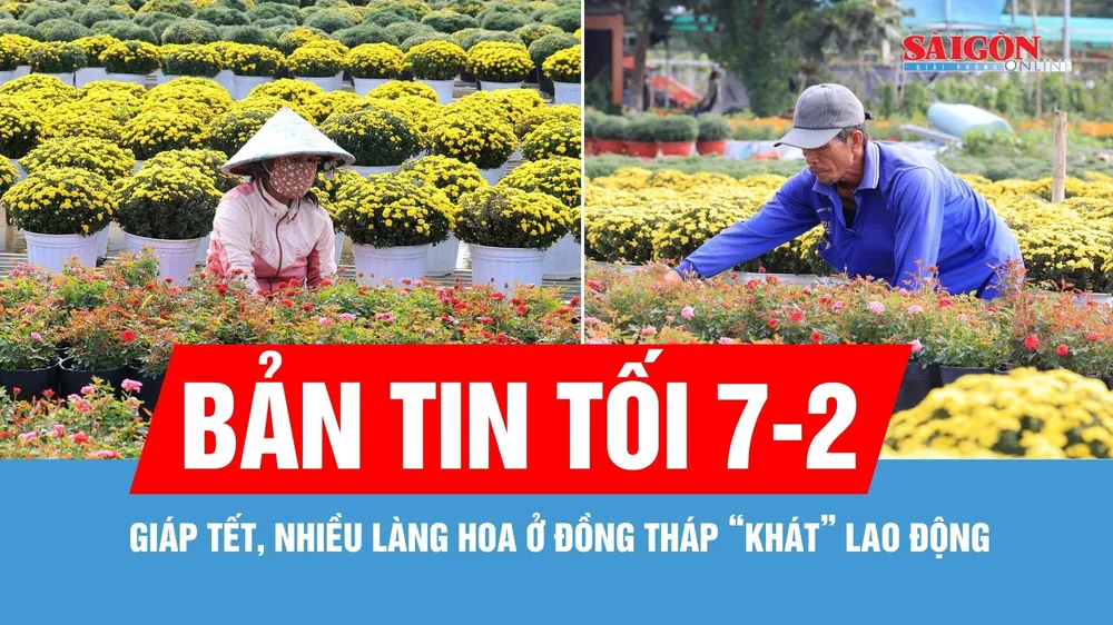 Bản tin tối 7-2: Nhiều làng hoa "khát" lao động; Quy định mới về xử phạt vi phạm hành chính