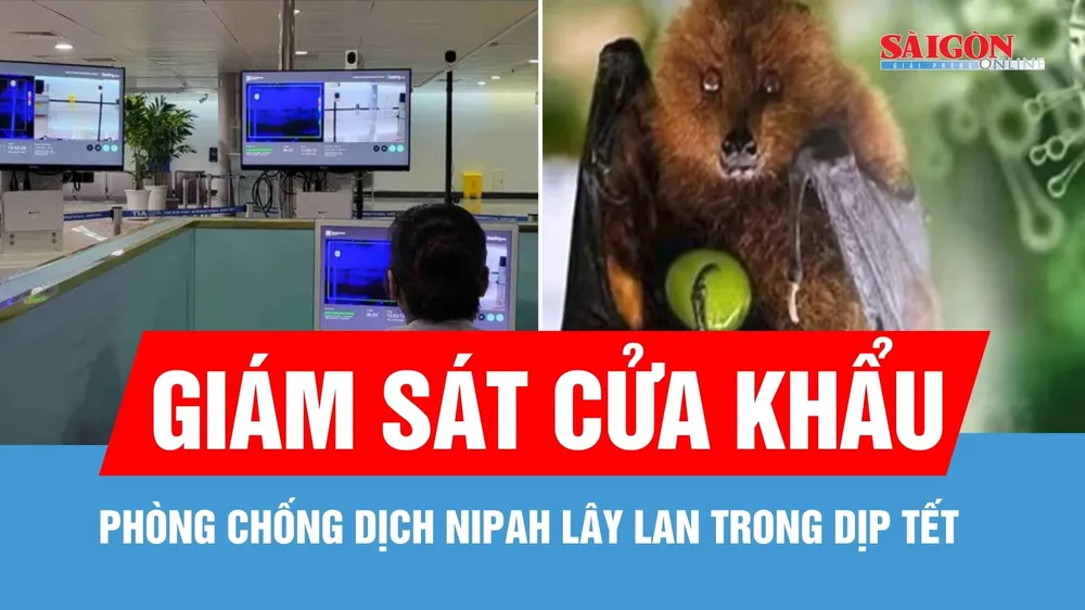 TPHCM: Giám sát cửa khẩu để phòng chống dịch Nipah
