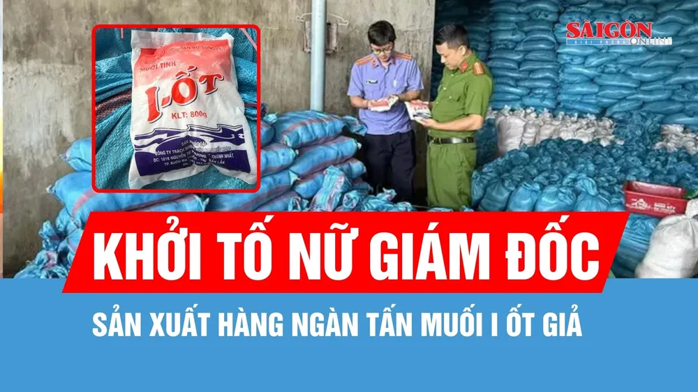 Khởi tố nữ giám đốc sản xuất hàng ngàn tấn muối i ốt giả
