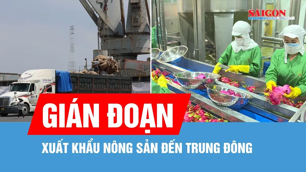 Gián đoạn xuất khẩu nông sản đến Trung Đông