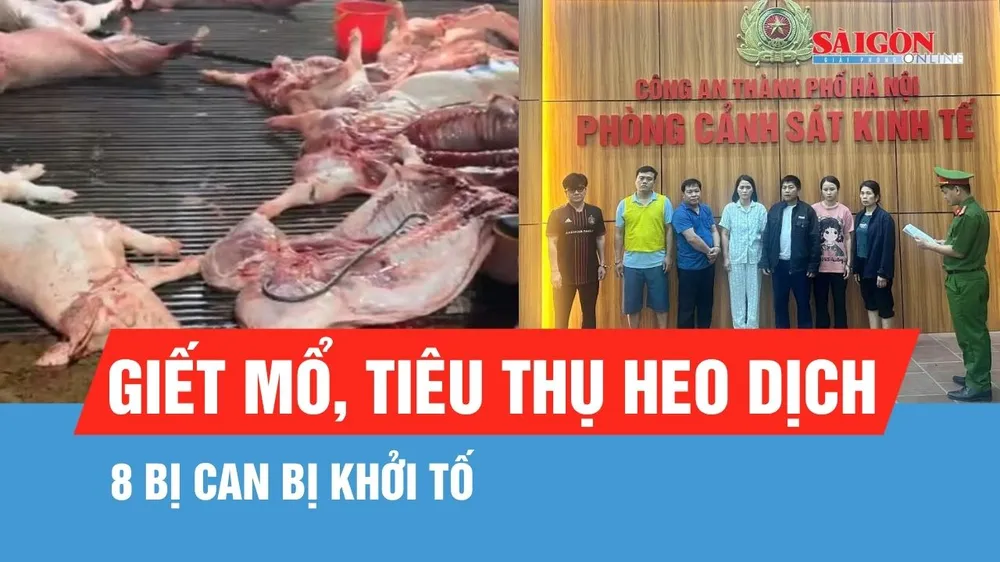 Hà Nội: Khởi tố 8 bị can trong đường dây giết mổ, tiêu thụ heo dịch