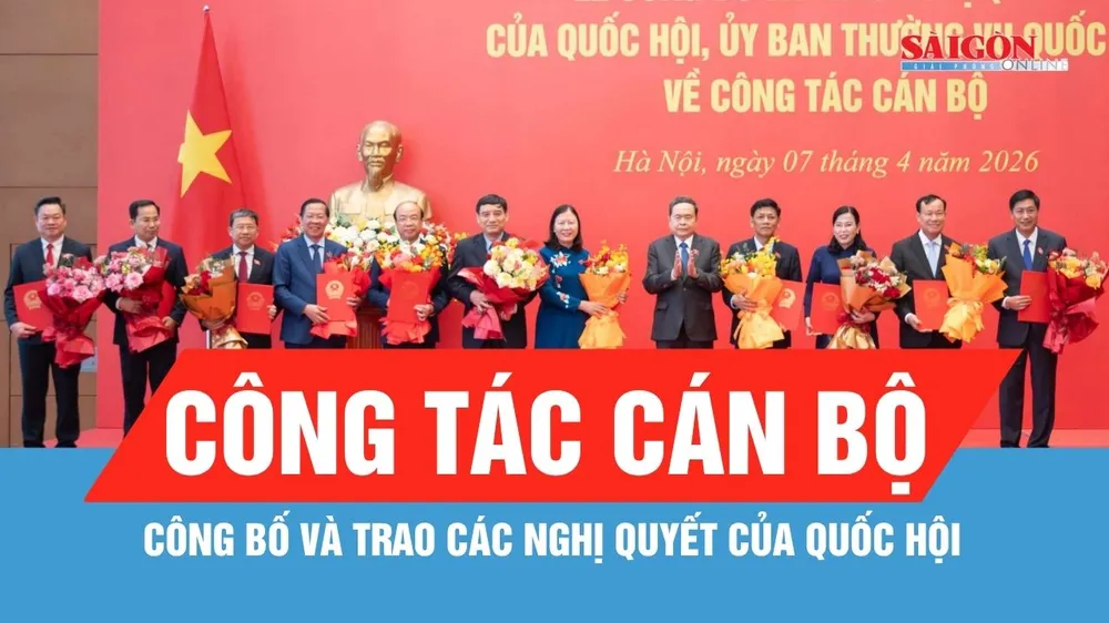 Công bố và trao các nghị quyết của Quốc hội về công tác cán bộ