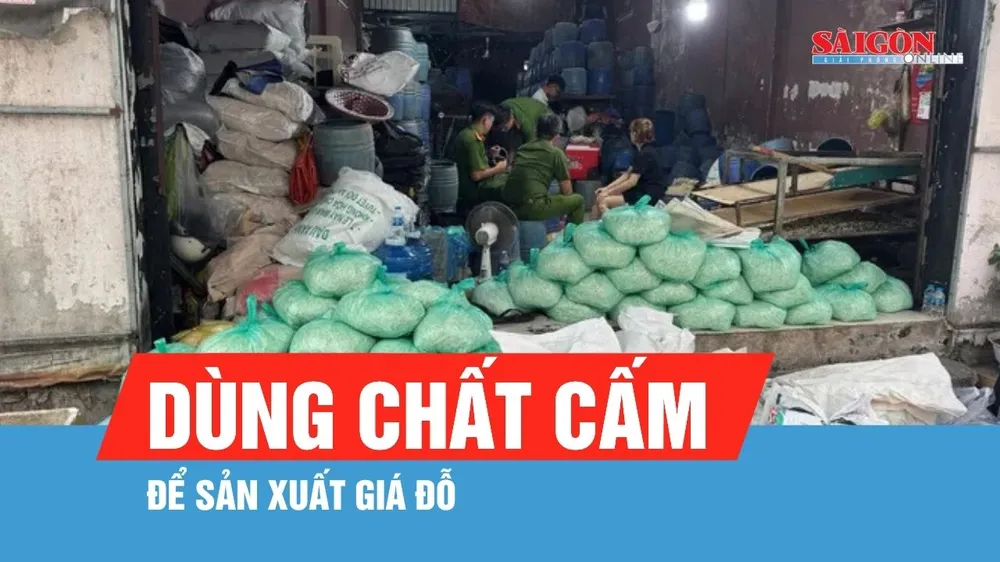 TPHCM: Khởi tố 4 bị can dùng chất cấm để sản xuất giá đỗ