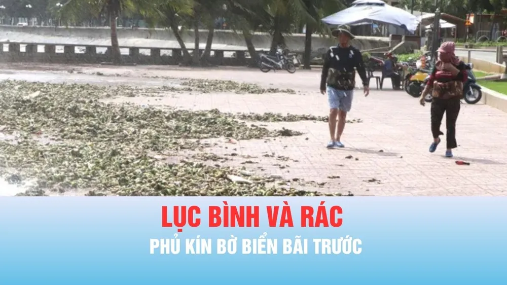 Podcast bản tin tối 4-6: Lục bình và rác phủ kín bờ biển Bãi Trước phường Vũng Tàu 