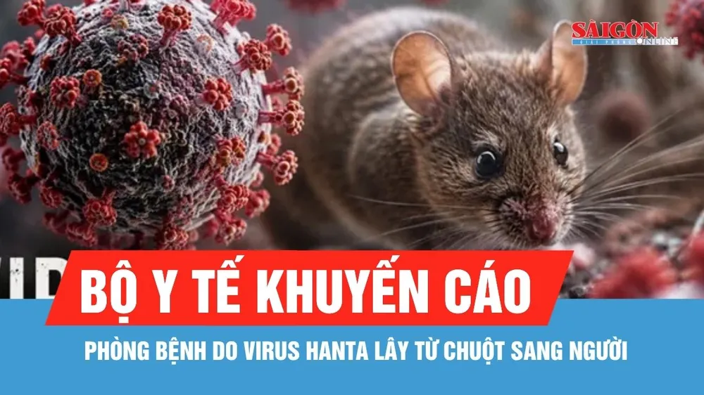 Bộ Y tế khuyến cáo phòng bệnh do virus Hanta lây từ chuột sang người
