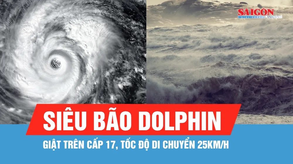 Ảnh hưởng siêu bão Dolphin: Dự báo sóng biển cao 2-4m, biển động rất mạnh